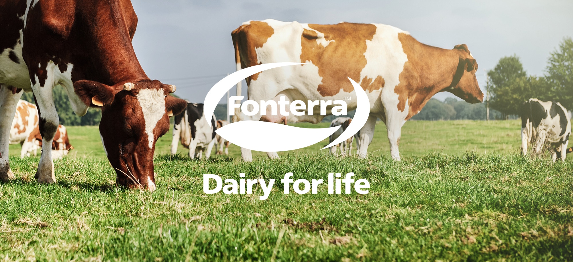 Farming for insights at Fonterra
